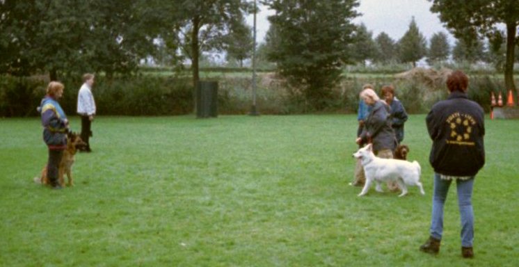 EG training met Wolf