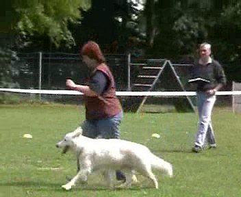 onderlinge wedstrid 2004 Wolf